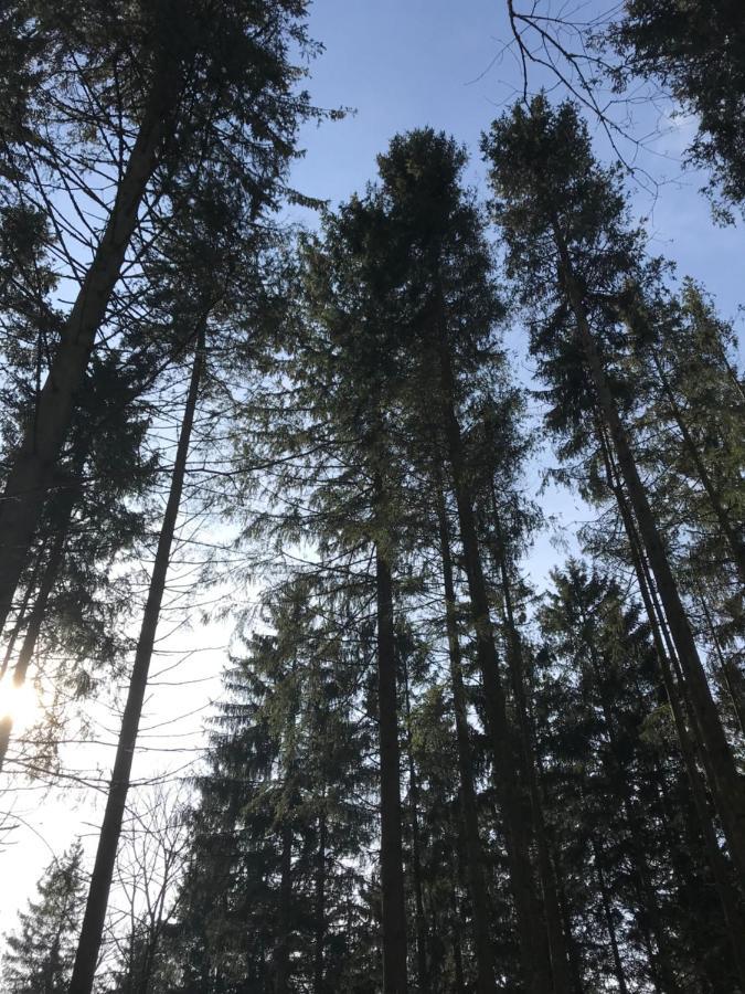 Appartamento Mit Panoramablick *